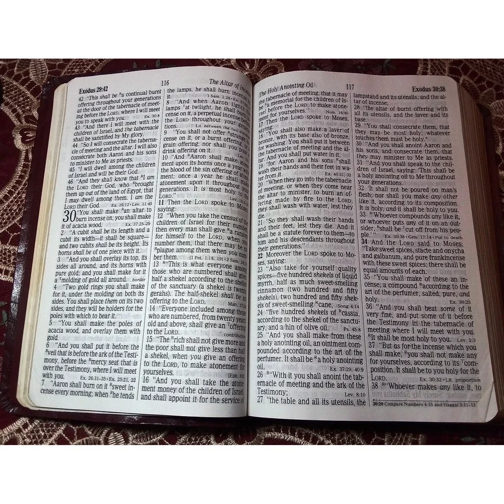 New‎ King James Version Holy Bible Wine Color Leather GIANT PRINT
